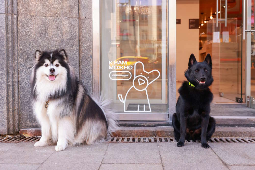 МТС в Прикамье открыла свои магазины для домашних животных 