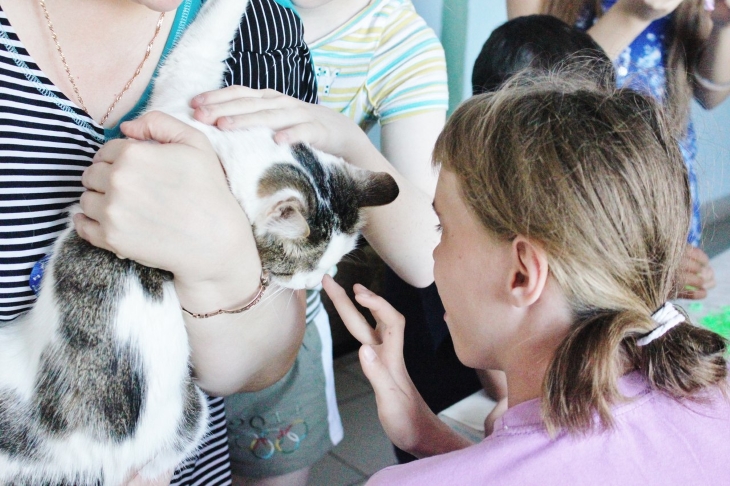 Как в Перми работают кошки-терапевты 