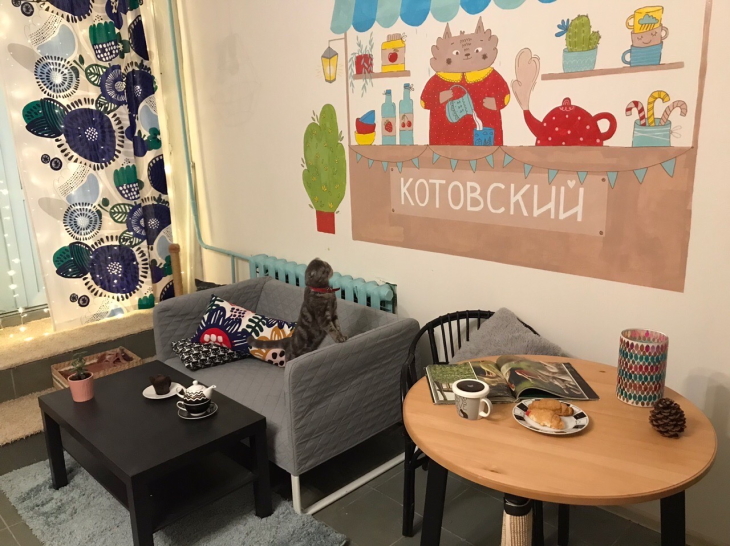 Как в Перми работает котокафе «Котовский» и чем занимаются его посетители