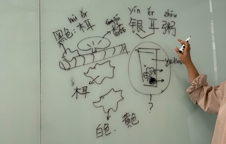 Как пермская студентка решила за год выучить китайский язык в лучшем университете Китая