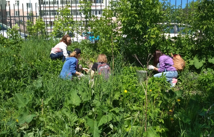 Пермские активисты открыли первый в городе Общественный огород. 