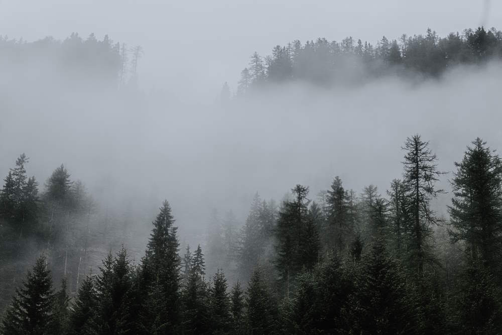 В Пермском крае 22 апреля ожидается туман и ухудшение погоды