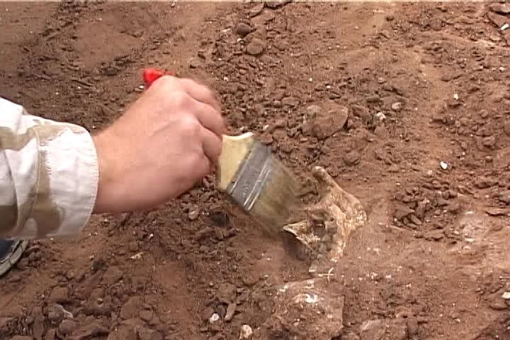 «Повезло с находками»: пермские археологи нашли редкие предметы