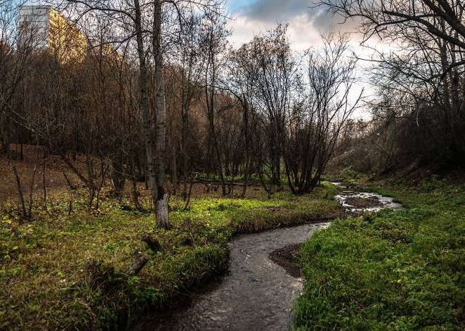 В этом году в Перми будут очищены берега рек Данилиха и Ива