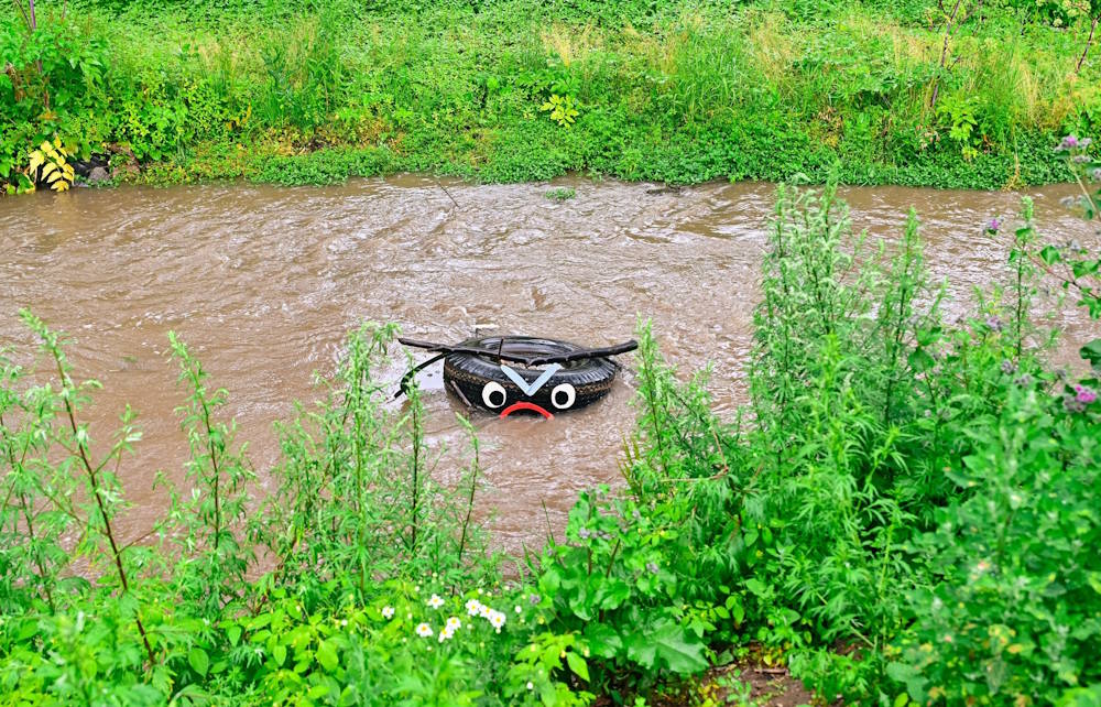 Художники из Омска создали арт-объекты в долине реки Данилиха