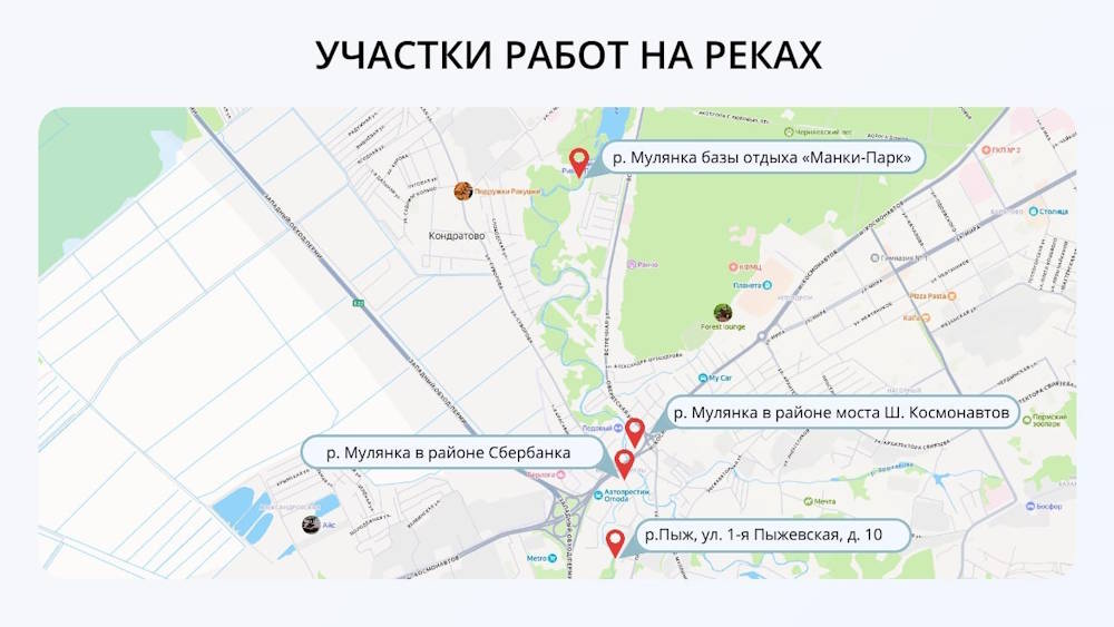 Пермяков призвали не выгуливать собак около загрязненных участков реки Мулянка