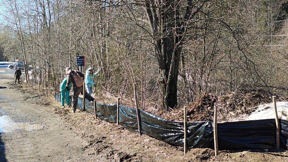 В Перми около «Биомеда» установили «жабоуловители»