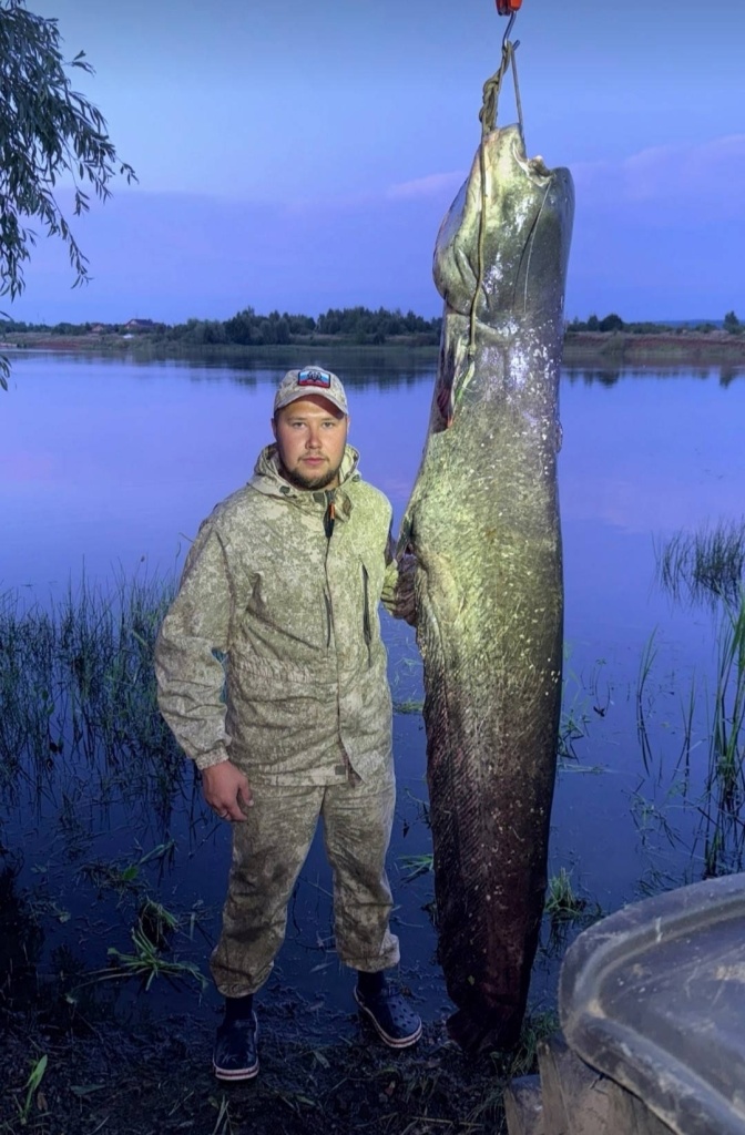 Вытягивали трактором: рыбак поймал сома весом почти 70 килограммов в Каме