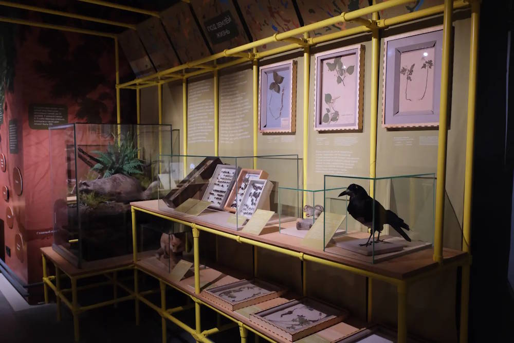 В Перми открылся Детский музейный центр