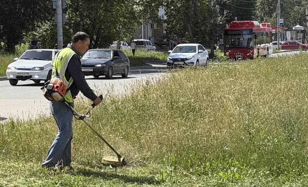 В Перми на городских газонах идет кошение травы и сорняков