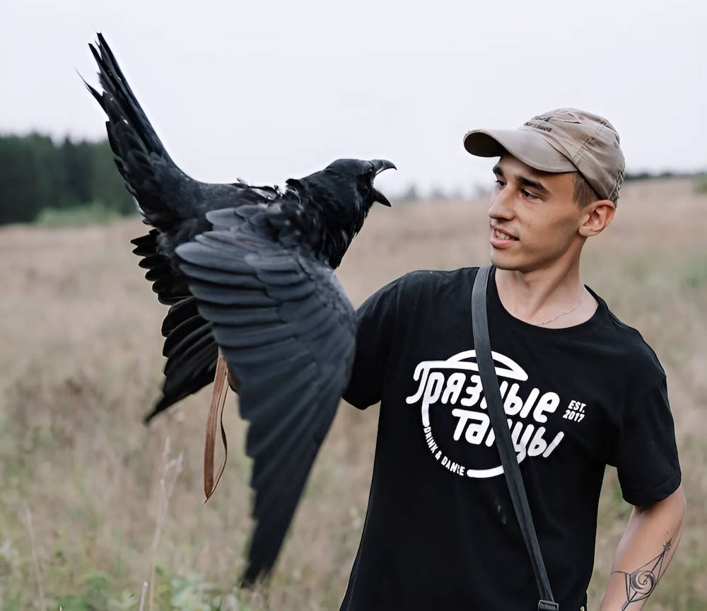 Канал ворона Гоши из Прикамья набрал миллион подписчиков на Youtube
